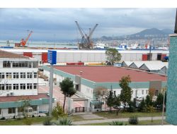 Asisst'te İstihdam Yılsonuna Kadar İkiye Katlanacak