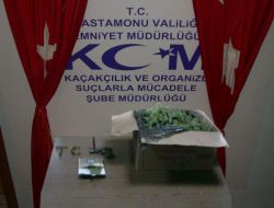 Tosya'da Uyuşturucu Operasyonu