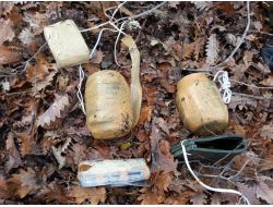 Bingöl'de Çatışma: 1 Terörist Öldü