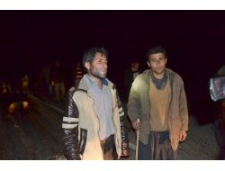 Otomobil, Koyun Sürüsüne Çarptı, 32 Koyun Telef Oldu