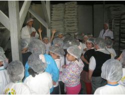 Sema Koleji'nin Minikleri Ekmek Üretimi Fırında Öğrendi