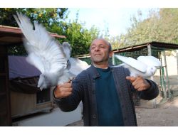 Dsp'li Çakmak: İsrail'in Saldırganlığı Abd'nin Şımartmasından Kaynaklanıyor