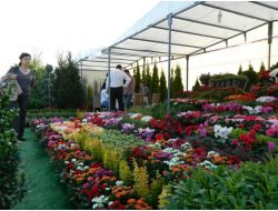 Süs Bitkicileri Sektörü Ödemiş'te Buluştu