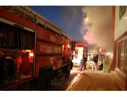 Bursa'yı Ayağa Kaldıran Yangın, At Sevdalılarını Korkutmadı