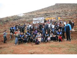 Gülnar'da Yanık Sahalar Ağaçlandırılıyor