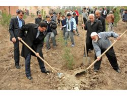 Başkanı Ak, Öğrencilerle Birlikte Fidan Dikti