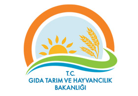 İşte o firmalar ve ürünleri