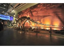 Jurassic Land, Öğretmenler Günü'nde Öğretmenlere Ücretsiz