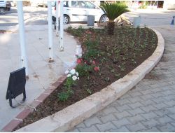 Taşucu Beldesi Dört Mevsim Çiçek Açacak