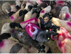 Denizli’nin Kültürel Güzellikleri Fotoğraflarla Belgelendi