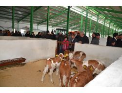 Ardahan, Modern Damızlık İşletmesine Kavuştu