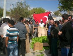 Kaş'ta Çavdırlı Çiftçi Biberin 20 Kuruşluk Fiyatına Tepki Gösterdi
