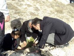 Çocuk Yuvası Ve Sevgi Evleri Sakinleri, 2 Bin Fidanı Toprakla Buluşturdu