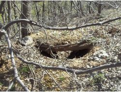 Bingöl'de Örgüte Ait 3 Depo İmha Edildi