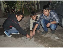 Sebze Haline Uçaksavar Mermisi İsabet Etti