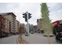 Hakkari'de Trafik Lambalı Hayat Yeniden Başlıyor