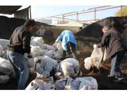 Kaçak Sokulduğu Belirlenen 8,5 Ton Kaçak Çay İmha Edildi