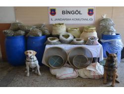 Bingöl'de 193 Kilogram Esrar Ele Geçirildi