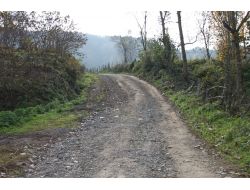 Köy Halkı Yollarının Yapılmasını İstiyor