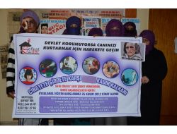 Kadınlar Koca Şiddetine Karşı Silahlanacak