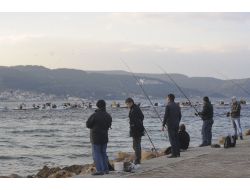 Çanakkale Boğazı’nda Balıkçı Tekneleri Lüfer Nöbetinde