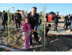 Emniyet Bahçesine Çam Fidanı Dikildi