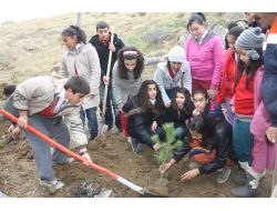 Elmadağ'da Şenlik Havasında Fidan Dikildi