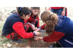 Şanlıurfa'da Öğrenciler Fidanları Toprakla Buluşturdu