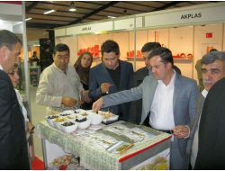 Türkiye'nin Zeytin İhracatında Irak İkinci Sıraya Yükseldi