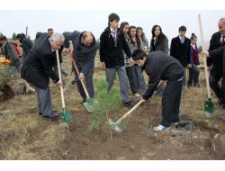 Çubuk'ta Bir Milyon Fidan Toprakla Buluşacak