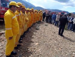 Fethiye'de 2009 Bitmeden 25 Ton Sedir Tohumu Ekilecek