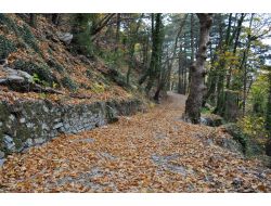 Türkiye'nin Oksijen Deposu Kazdağları'nda Sonbahar (Özel)