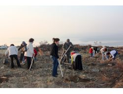 Bursa'da Kadınlar Şiddete Karşı Fidan Dikti