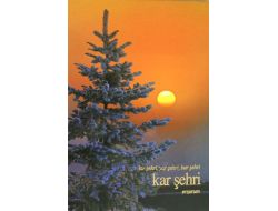 Gazeteci Akkök, 'Kar Şehri Erzurum'u Yayımladı