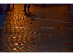 Bulgaristan Parlamentosu Önünde “domates İhtilali”