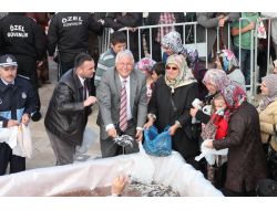 Ereğli'de Hamsi İzdihamı