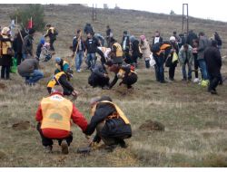 Gemerek'te Tohumlar Fidana, Fidanlar Ağaca Dönecek