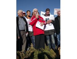 Köylülerden Ağaç Katliamı Ve Taşocağına Tepki