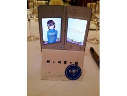 Düğününe Sanal Sevgilisini De Getirdi