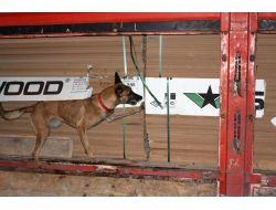 Sivas’ta Kaçak Sigara Operasyonu