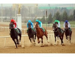 Türkmenistan’da Pamuk Bayramı