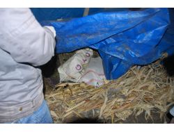 Yüksekova’da Uyuşturucu Operasyonu