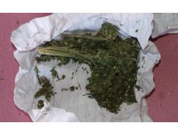 Kars Emniyeti Sokakta Esrar Satanları Takibe Aldı