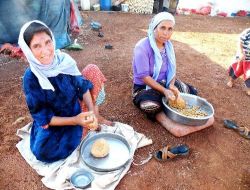Mevsimlik İşçiler Arasında En Büyük Eziyeti Çocuklar Ve Kadınlar Çekiyor