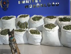 Uyuşturucu Satıcılarını 'Maya' Tuttu!