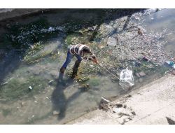 Sulama Kanalına Zehir Döküldü Balıklar Öldü İddiası