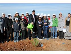 Şehitkamil Belediyesi, Binlerce Fidanı Toprakla Buluşturacak
