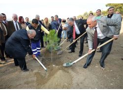 İzmir Büyükşehir Belediyesi Hatıra Ormanı Kurdu