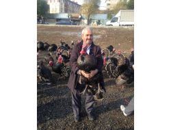 Yılbaşı Hindileri Satışa Çıktı!