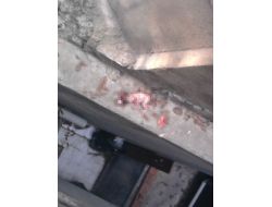 Yeni Doğan Bebeğini Pencereden Attı